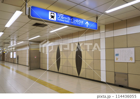 日本の横浜都市景観 横浜市営地下鉄 踊場駅出入口4に続く通路にもネコが…＝5月10日 114436055