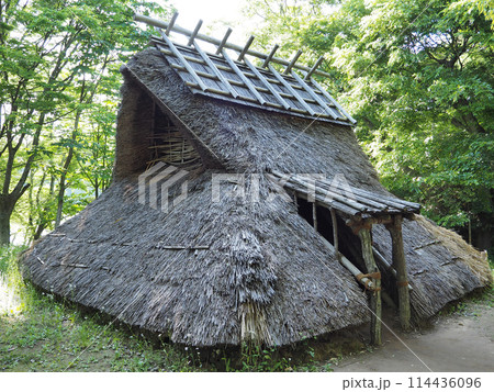 奈良時代の竪穴式住居 奈良時代の竪穴式住居 114436096