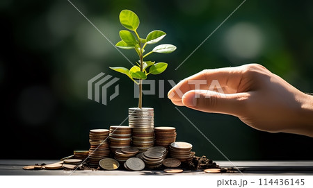 Growing your wealth through compound interest 114436145