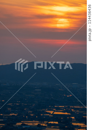 夕日に染まる砺波平野の散居村（5月）｜散居村展望台より撮影｜富山県砺波市 114436436