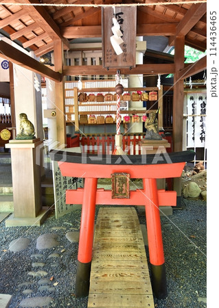 洲崎神社石神社 114436465