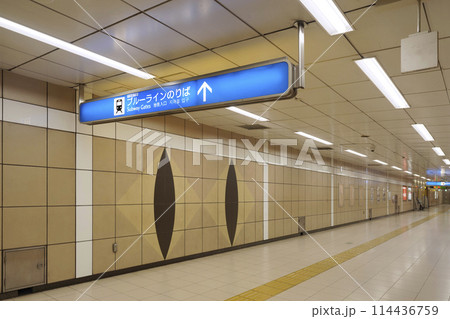 日本の横浜都市景観 横浜市営地下鉄 踊場駅出入口1と2に続く通路にもネコが…=5月10日 日本の横浜都市景観 横浜市営地下鉄 踊場駅出入口1と2に続く通路にもネコが…=5月10日 114436759