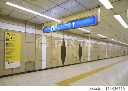 日本の横浜都市景観 横浜市営地下鉄 踊場駅出入口1と2に続く通路にもネコが…＝5月10日 114436760