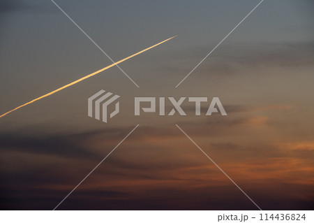 夕焼けに染まる飛行機雲 114436824
