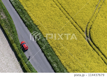 Aerial view of farmland near a country road 114437679
