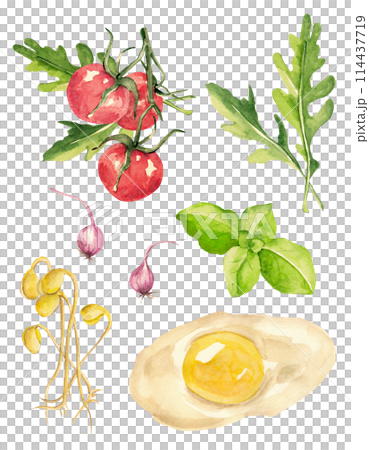 Greens and fresh vegetables. Tomatoes, beans, onions, seeds, arugula, basil and egg in watercolor. Botanical design. Product Set Greens and fresh vegetables. Tomatoes, beans, onions, seeds, arugula, basil and egg in watercolor. Botanical design. Product Set 114437719