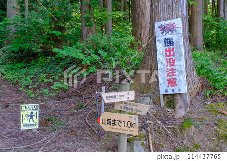 福井県 一乗谷朝倉氏遺跡 福井県 一乗谷朝倉氏遺跡 114437765