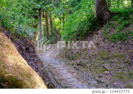 福井県　一乗谷朝倉氏遺跡 114437772