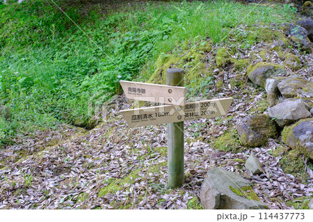 福井県　一乗谷朝倉氏遺跡 114437773