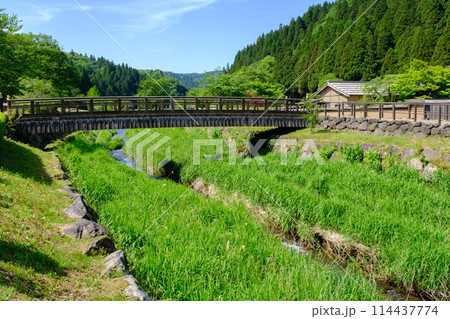 福井県　一乗谷朝倉氏遺跡 114437774