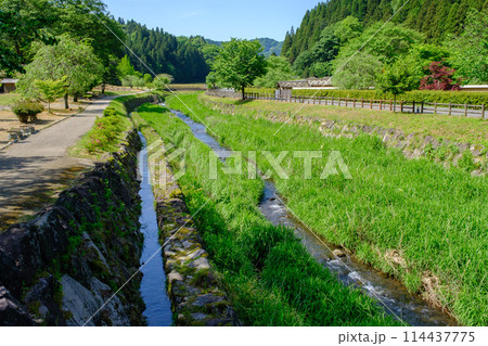 福井県　一乗谷朝倉氏遺跡 114437775