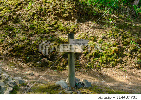 福井県　一乗谷朝倉氏遺跡 114437783