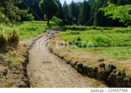福井県　一乗谷朝倉氏遺跡 114437786