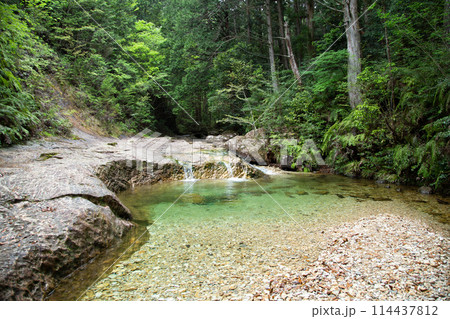 乳岩峡　清流　(愛知県新城市） 114437812