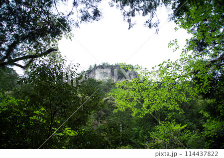 乳岩峡 乳岩山(愛知県新城市) 乳岩峡 乳岩山(愛知県新城市) 114437822