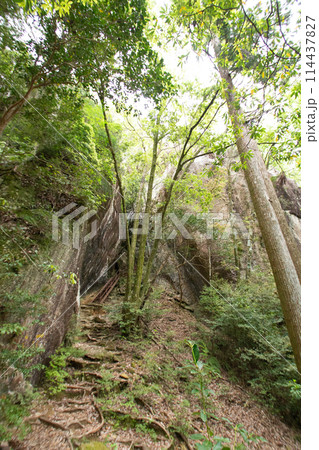 乳岩峡（愛知県新城市）　登山道の急斜面に設置された鉄のハシゴ（階段） 114437827