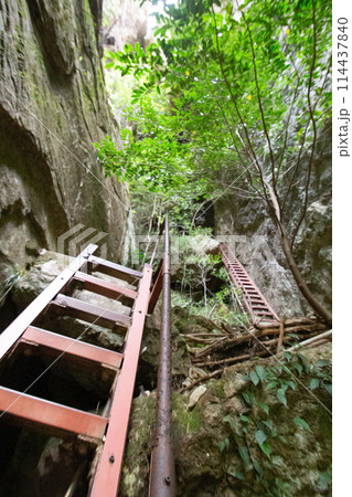 乳岩峡（愛知県新城市）　登山道の急斜面に設置された鉄のハシゴ（階段） 114437840