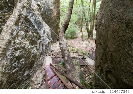 乳岩峡（愛知県新城市）　登山道の急斜面に設置された鉄のハシゴ（階段） 114437842