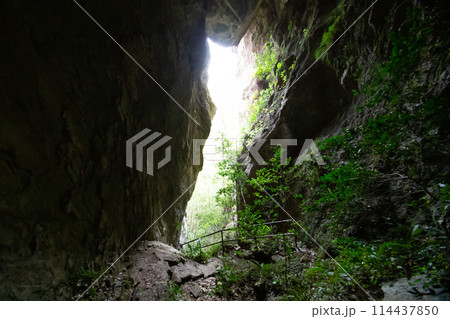 乳岩峡　通天洞　(愛知県新城市） 114437850