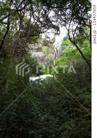 乳岩峡　通天門　(愛知県新城市） 114437859