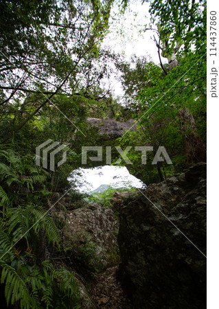 乳岩峡　通天門　(愛知県新城市） 114437860