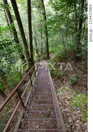 乳岩峡　登山道の様子　(愛知県新城市） 114437864