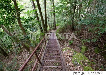 乳岩峡　登山道の様子　(愛知県新城市） 114437865