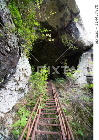 乳岩峡 乳岩洞窟 (愛知県新城市) 乳岩峡 乳岩洞窟 (愛知県新城市) 114437870