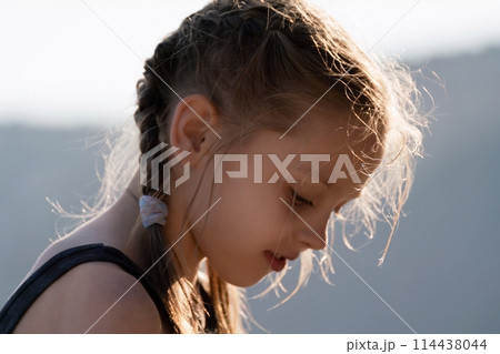 A young girl with braided hair is looking at the camera A young girl with braided hair is looking at the camera 114438044