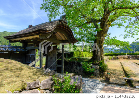 一乗谷朝倉氏遺跡 唐門 一乗谷朝倉氏遺跡 唐門 114438216