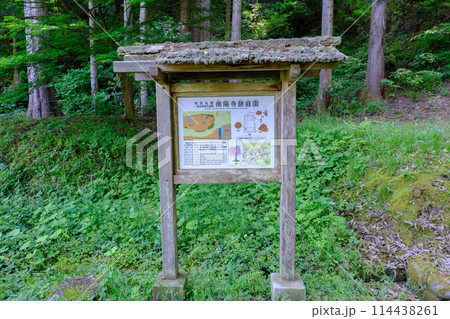 一乗谷朝倉氏遺跡 南陽寺跡庭園 一乗谷朝倉氏遺跡 南陽寺跡庭園 114438261