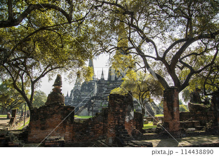 THAILAND AYUTTHAYA WAT PHRA SI SANPHET THAILAND AYUTTHAYA WAT PHRA SI SANPHET 114438890