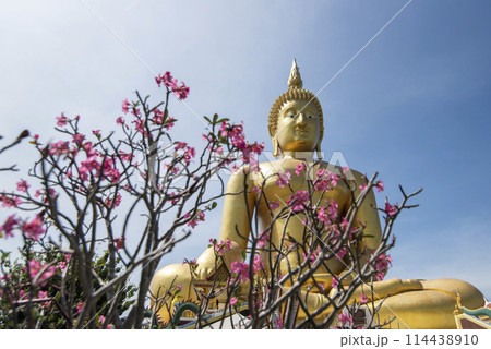 THAILAND ANG THONG WAT MUANG 114438910