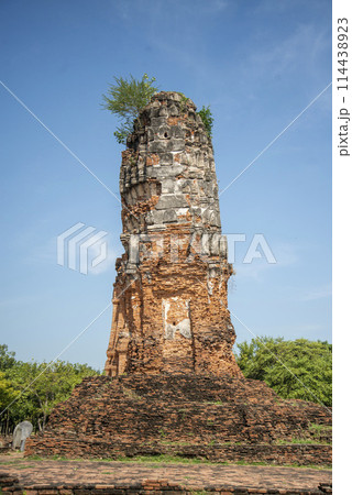 THAILAND AYUTTHAYA WAT LOKAYASUTHARAM THAILAND AYUTTHAYA WAT LOKAYASUTHARAM 114438923