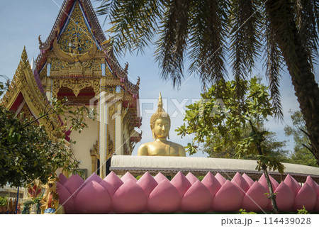 THAILAND ANG THONG WAT MUANG 114439028