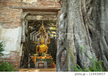 THAILAND ANG THONG WAT SANG KRATAI 114439057