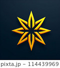 黄色い星 114439969