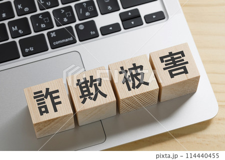 詐欺被害と書かれた積み木のブロック 詐欺被害と書かれた積み木のブロック 114440455