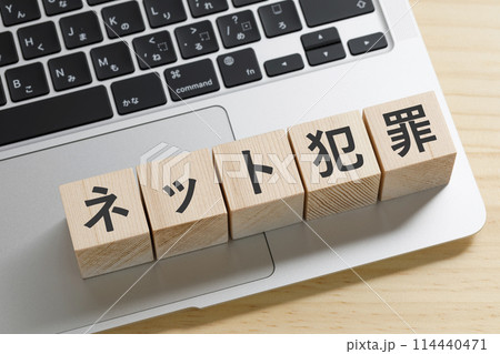 ネット犯罪と書かれた積み木のブロック ネット犯罪と書かれた積み木のブロック 114440471