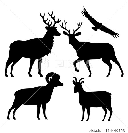 Elk Wapiti Mule Deer Bighorn Sheep and California Condor Silhouette Elk Wapiti Mule Deer Bighorn Sheep and California Condor Silhouette 114440568