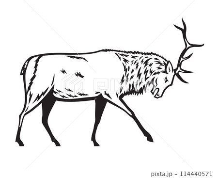 Bull Elk or Wapiti in Fighting Stance Side View Mascot Retro 114440571