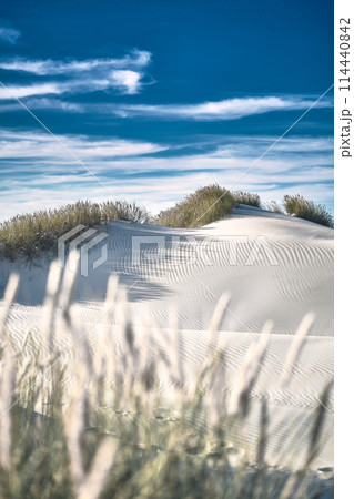 White sand dunes of northern Denmark 114440842