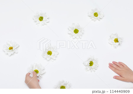 Double border of white daisy flower paper decorations. Top view over a rustic white wood banner background. Copy space Double border of white daisy flower paper decorations. Top view over a rustic white wood banner background. Copy space 114440909