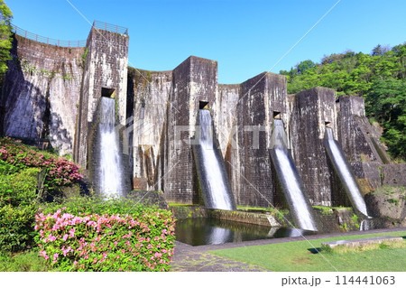 【香川県】ツツジ咲く春の豊稔池ダム(豊稔池堰堤)国最初の石積式多連マルチプルアーチダム 【香川県】ツツジ咲く春の豊稔池ダム(豊稔池堰堤)国最初の石積式多連マルチプルアーチダム 114441063
