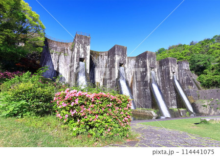 【香川県】ツツジ咲く春の豊稔池ダム(豊稔池堰堤)国最初の石積式多連マルチプルアーチダム 【香川県】ツツジ咲く春の豊稔池ダム(豊稔池堰堤)国最初の石積式多連マルチプルアーチダム 114441075