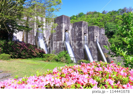 【香川県】ツツジ咲く春の豊稔池ダム（豊稔池堰堤）国最初の石積式多連マルチプルアーチダム 114441078