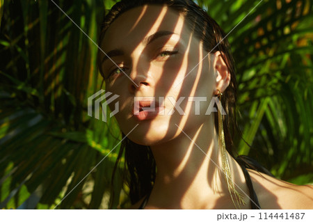 beautiful girl. young sexy woman in bikini under palm tree 114441487