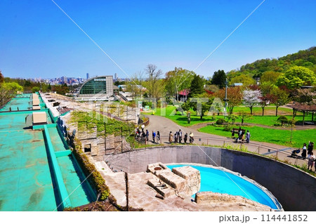 札幌市円山動物園の風景 札幌市円山動物園の風景 114441852
