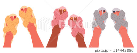 Feet wearing domestic slippers. Female home footwear, feet with cute pedicure in fluffy house shoes flat vector illustration set. Cozy faux fur indoor shoes Feet wearing domestic slippers. Female home footwear, feet with cute pedicure in fluffy house shoes flat vector illustration set. Cozy faux fur indoor shoes 114442886