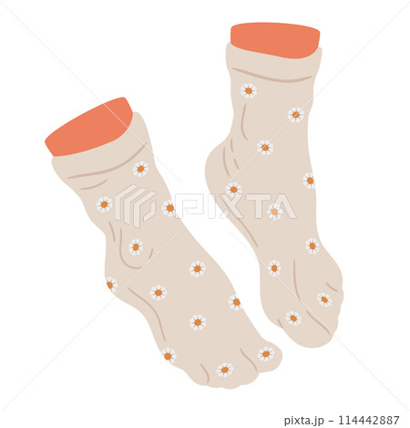 Feet wearing socks. Hand drawn feet in cotton socks, pair feet in relaxed position flat isolated vector illustration. Human feet on white background 114442887